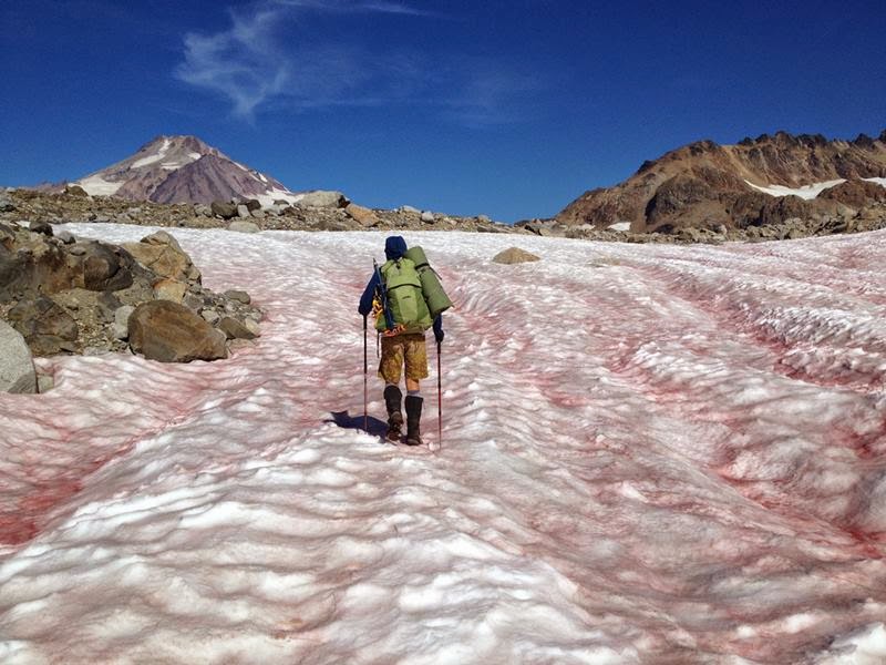 9 facts about snow you might not know