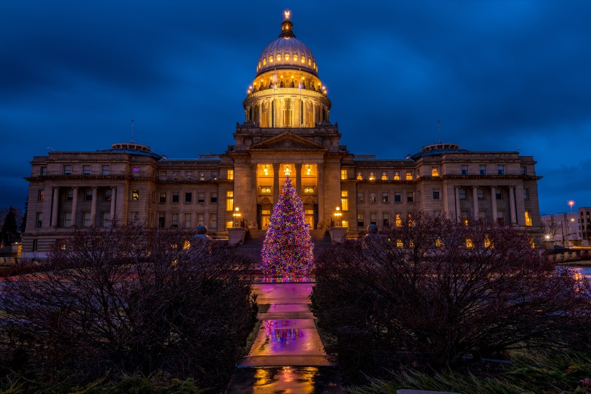 Boise Idaho State Christmas Tree 