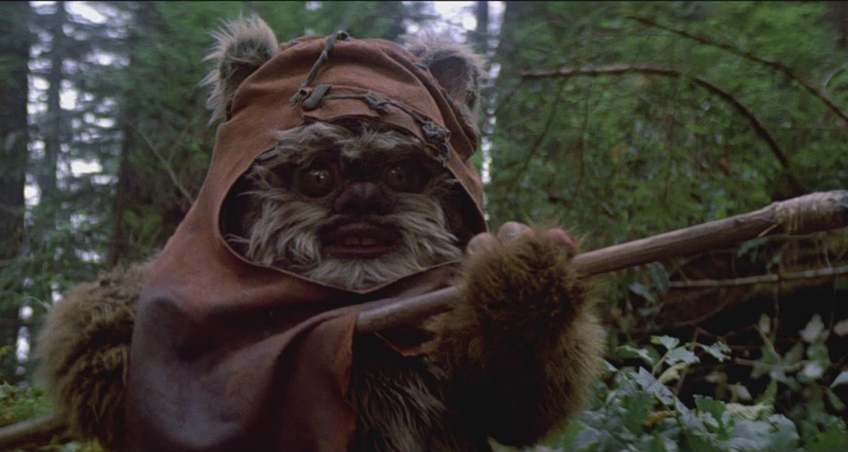 ewok from star wars, star wars jokes