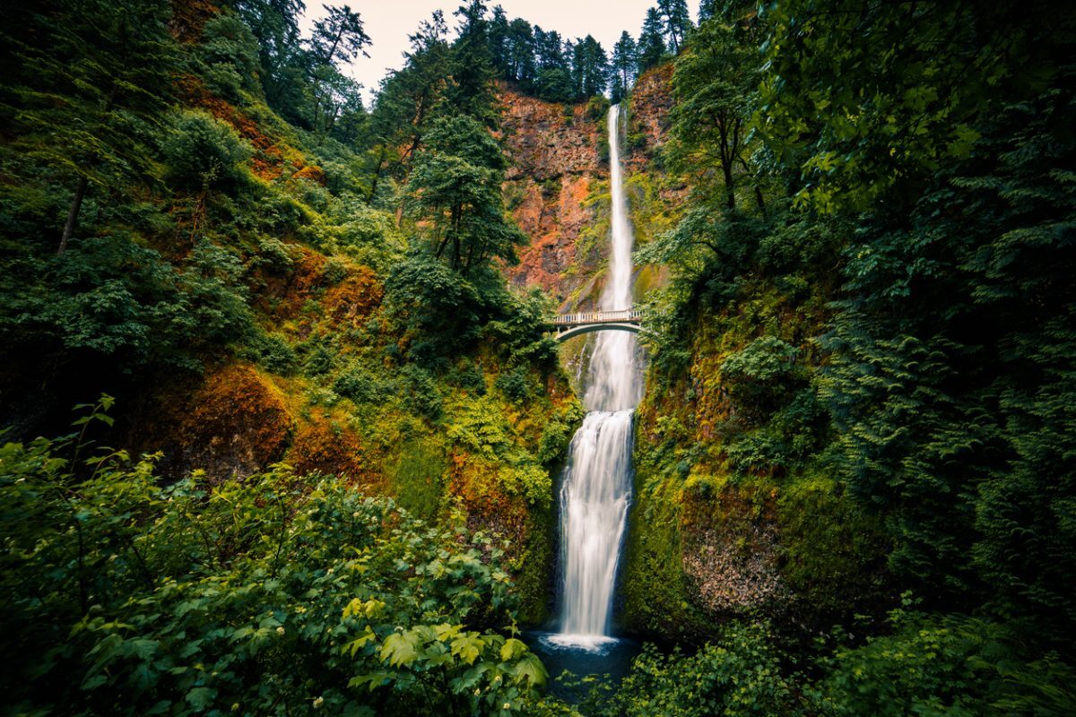 Multnomah Falls in Summer. Columbia River Gorge, Oregon, USA