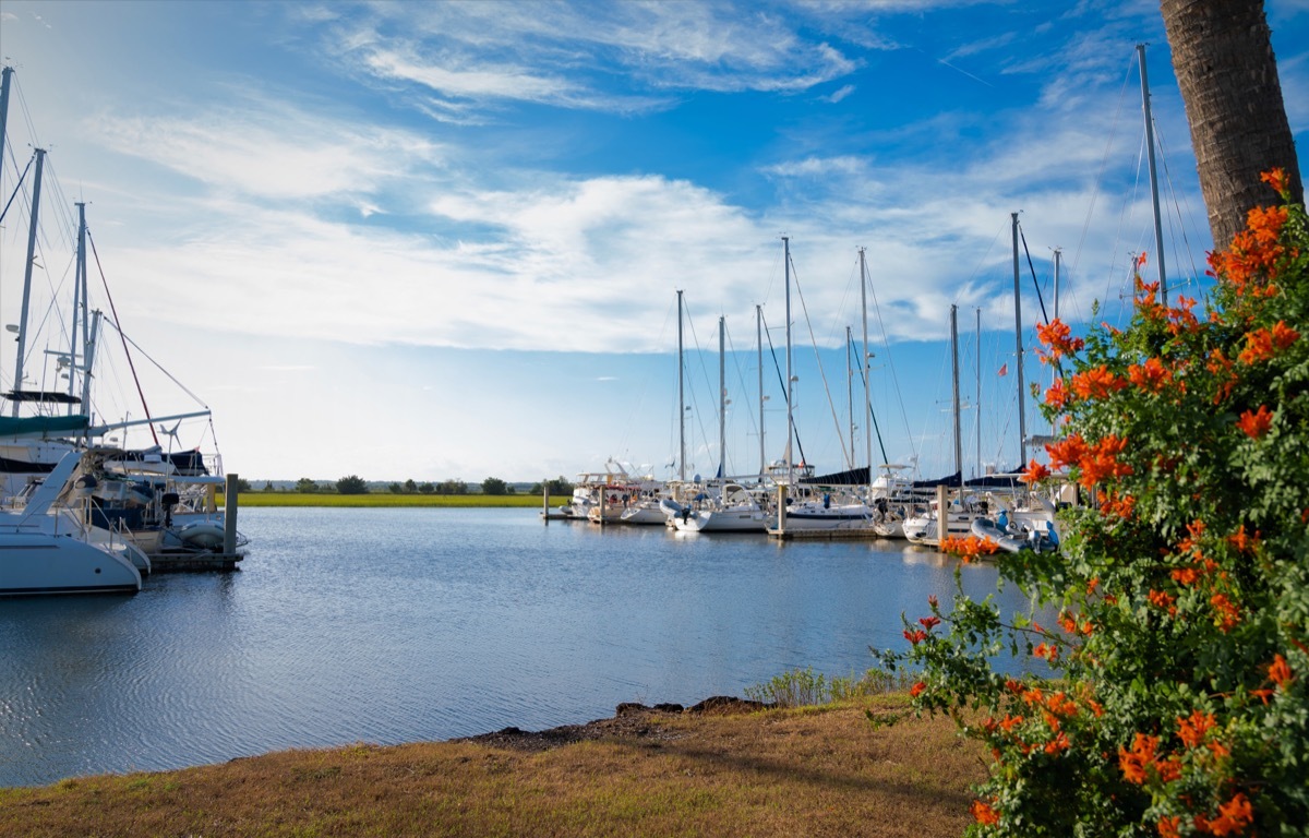 Boats docked in Brunswick, Georgia