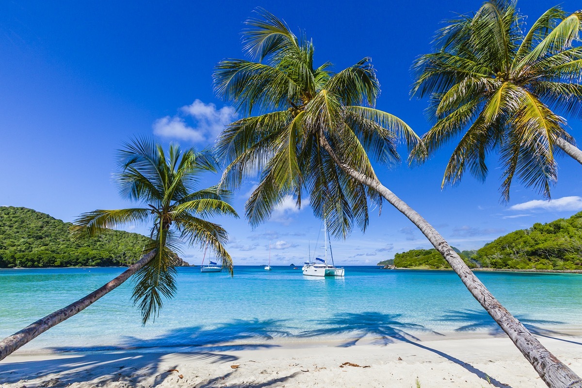 Salt Whistle Bay is one of the most famous and photographed beaches of the Grenadines, one and a half mile of white sand lapped by crystal clear and calm waters. It is located on Mayreau Island, that is one of the smaller Grenadines and lies north-west of the famous Tobago Cays. St. Vincent and the Grenadines.