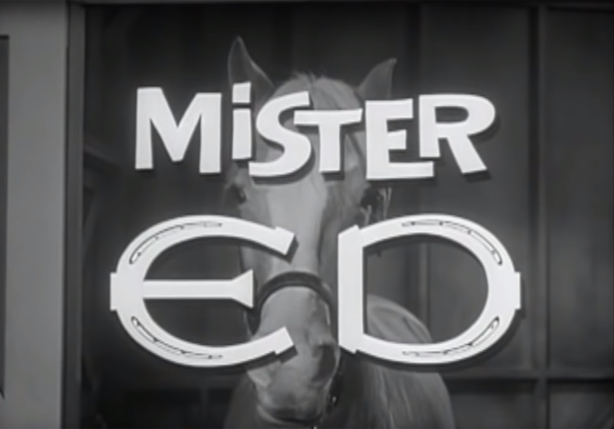 mister ed theme