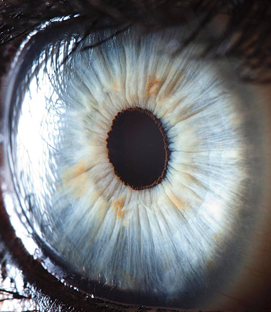 extreme-closeups-of-human-eyes-are-creepy-but-stunning-04