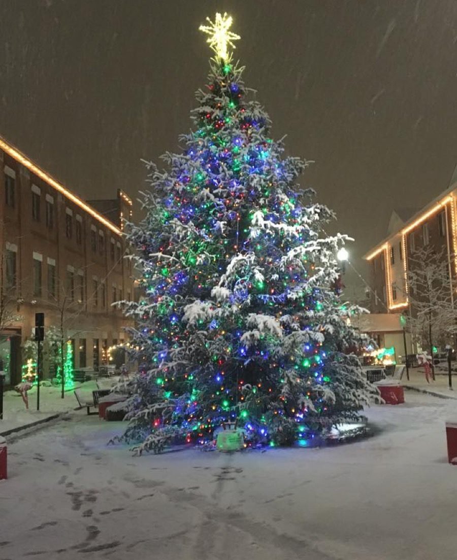 Indiana Pennsylvania State Christmas Tree