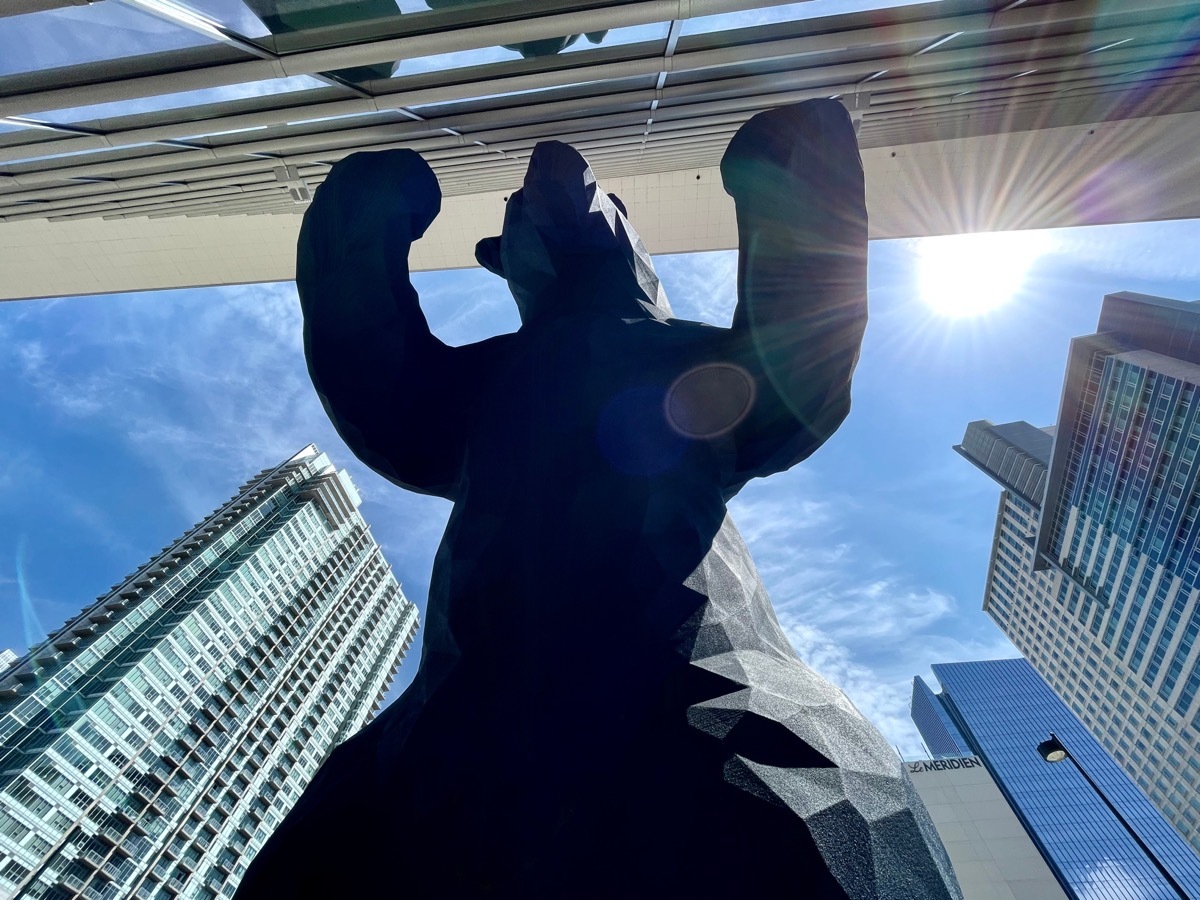 Blue Bear Leaning on Window in Denver