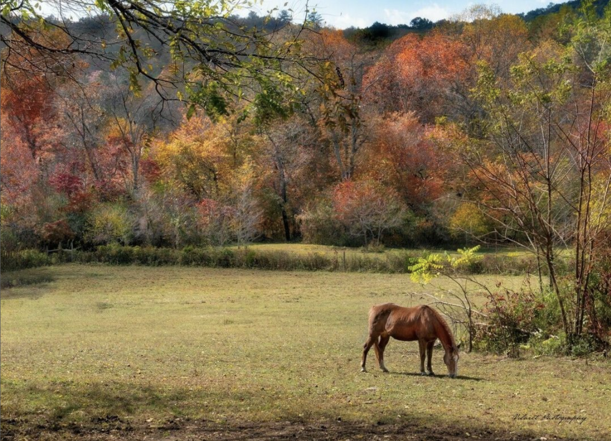 Blue Ridge Georgia 