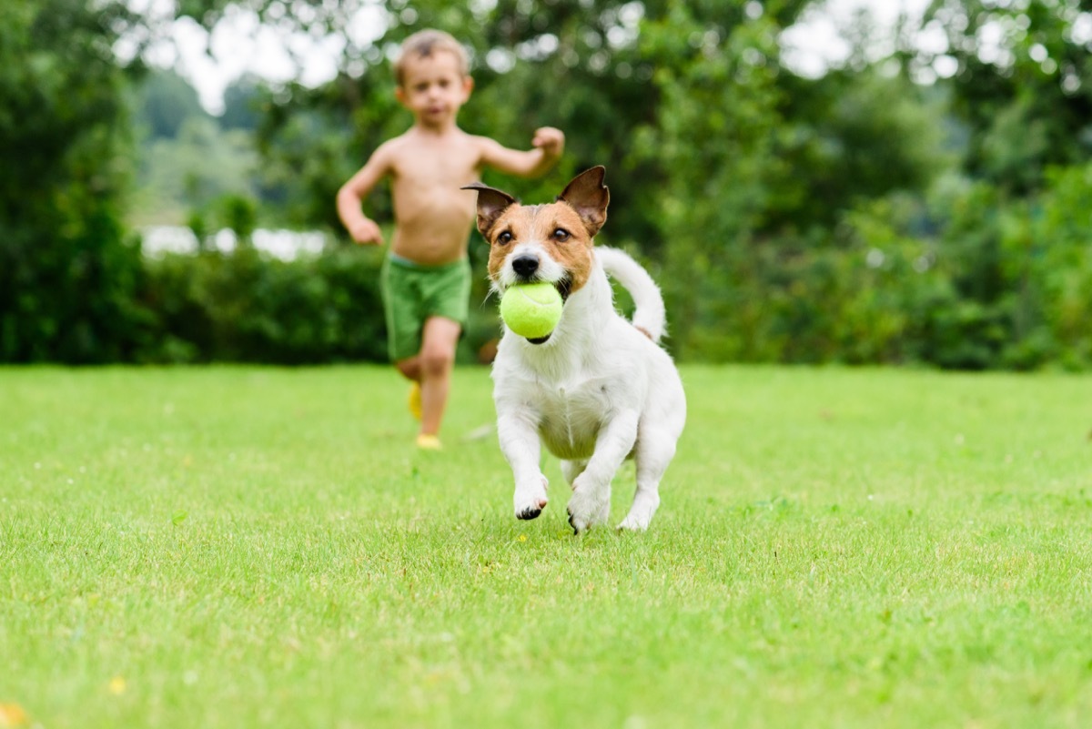 young boy chasing dog