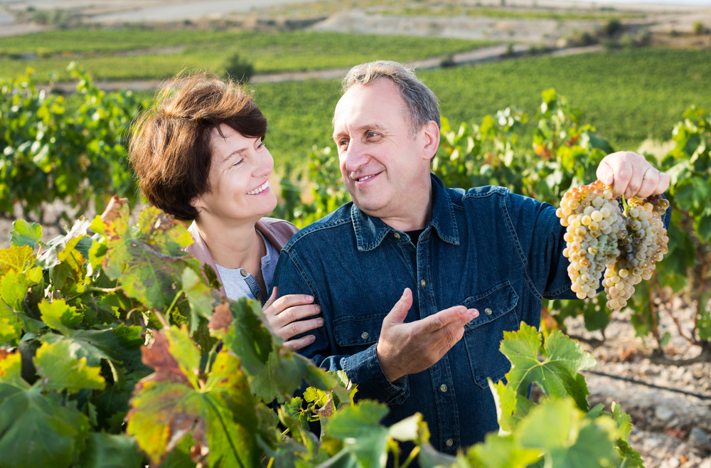 old happy man holds up grapes to woman. 