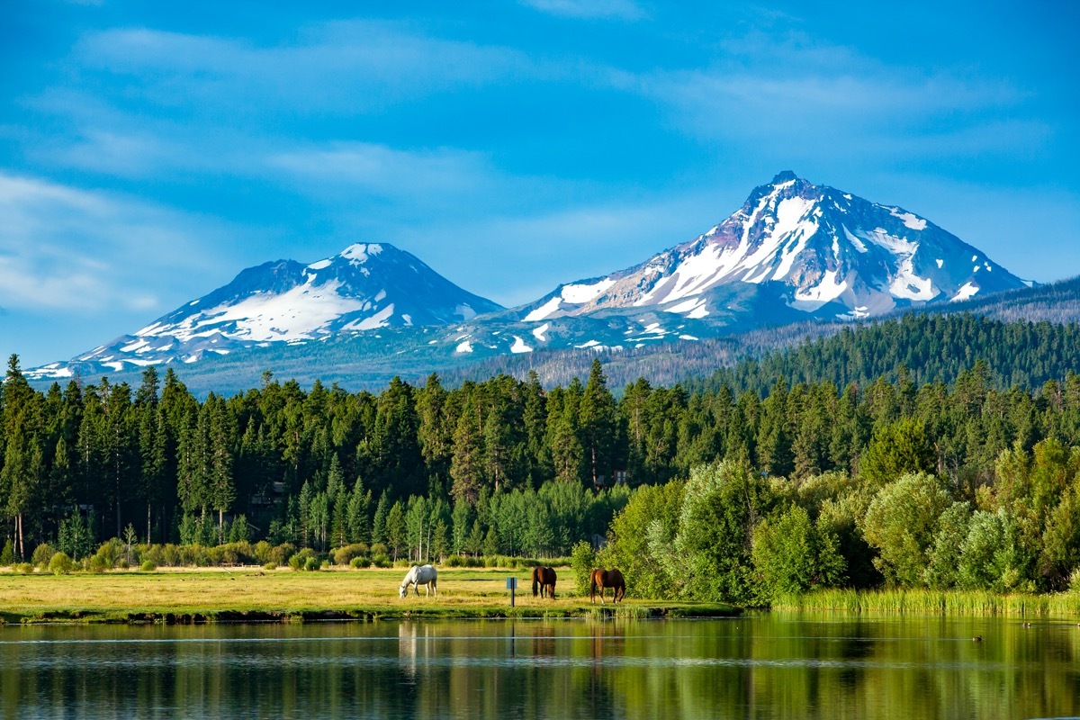 Three horses grazing in a central Oregon meadow near Sisters Oregon with the three sisters mountains in the background